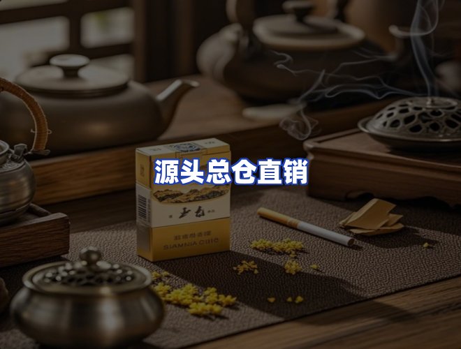 专业团队